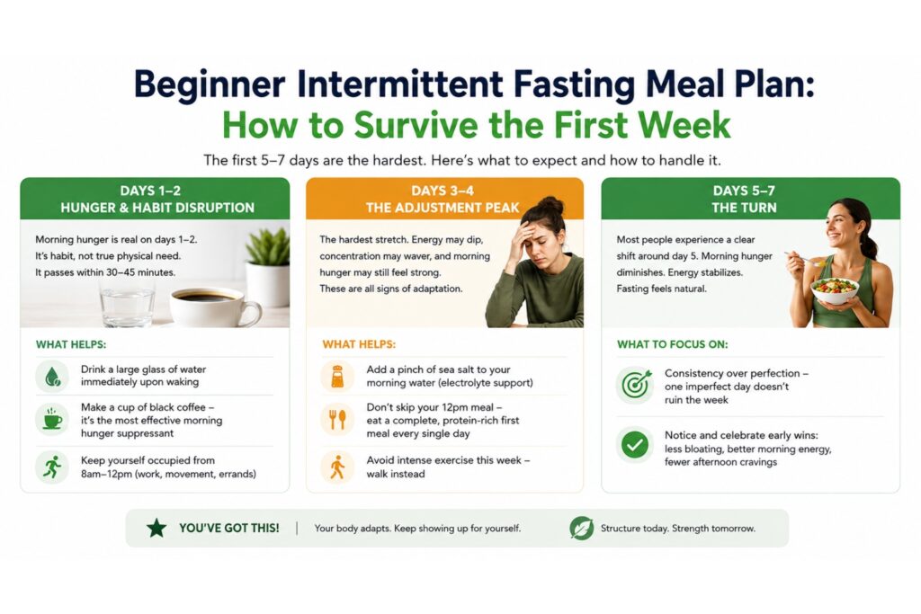 16 8 Intermittent Fasting Meal Plan