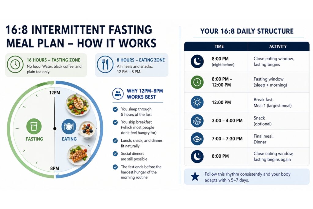 16 8 Intermittent Fasting Meal Plan